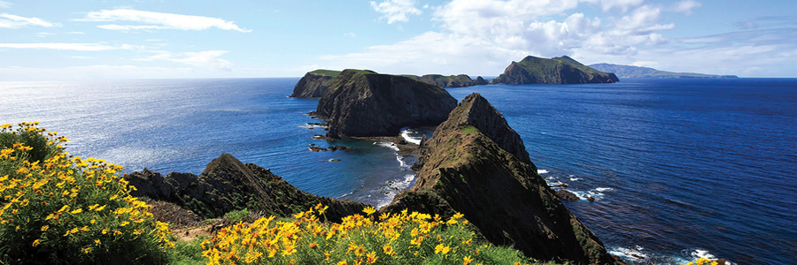 image of a part of the Channel Islands