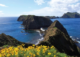 image of part of the Channel Islands