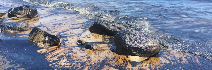 image of oil spill scene
