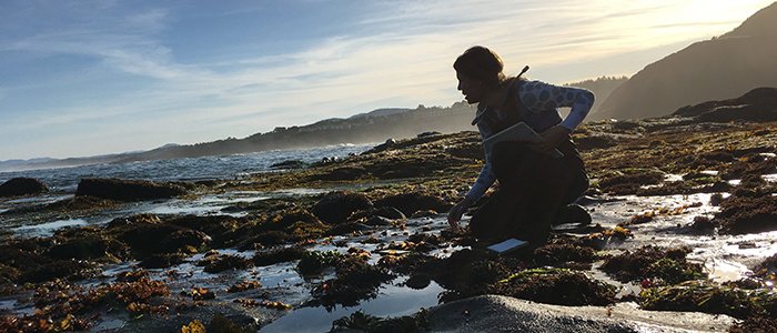 image of a person in the rocky intertidal zone