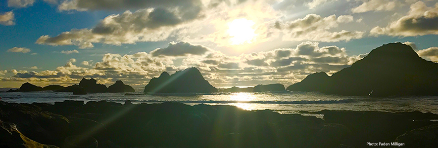 image of Seal Rock by Paden Milliigan