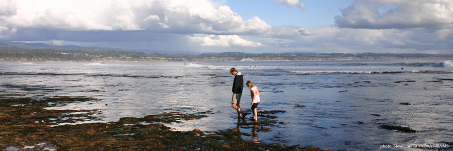 Steve Lonhart image of two people at a rocky shore