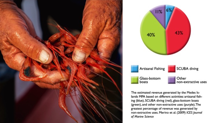 MPA uses and shrimp photo
